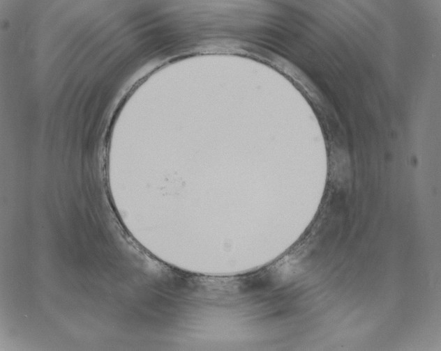 X0000062610856200601181627