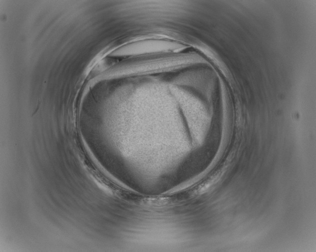 X0000062610858200601181628