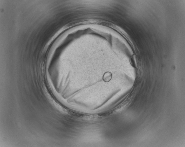 X0000062610859200601181628