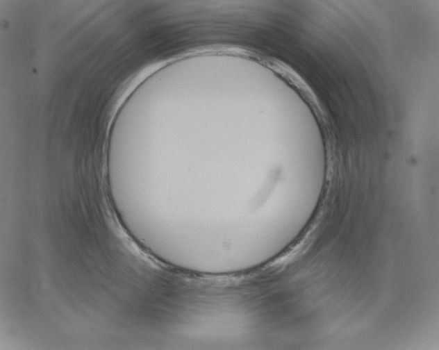 X0000062610860200601181628