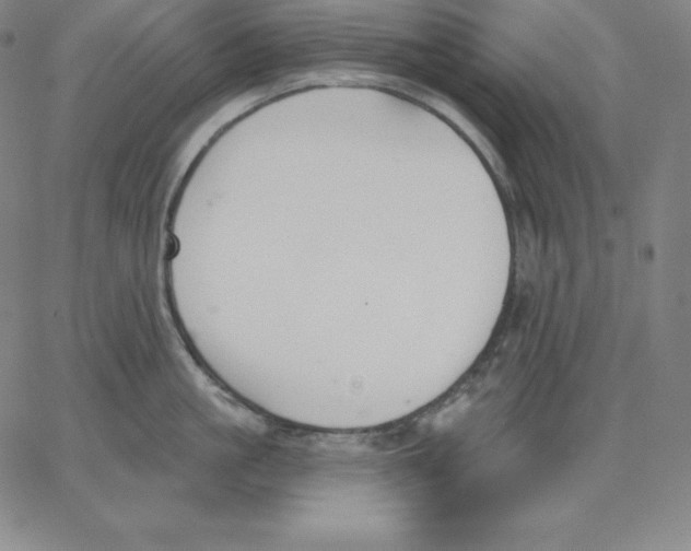 X0000062610861200601181628