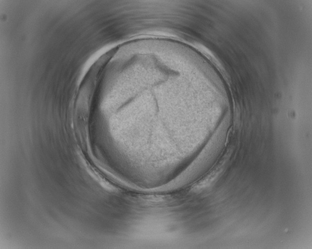 X0000062610862200601181628