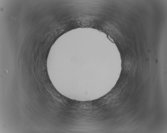 X0000062610865200601181627