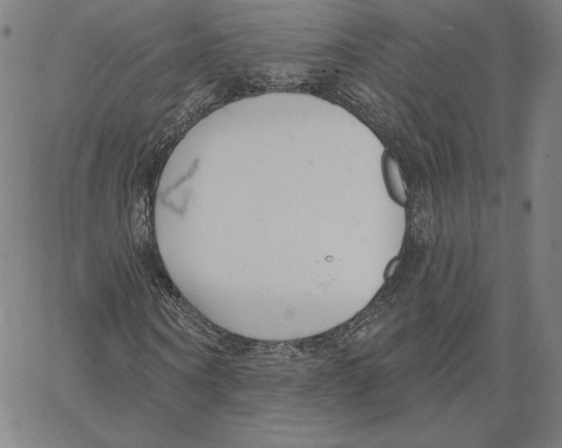 X0000062610866200601181627