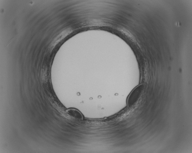 X0000062610873200601181627