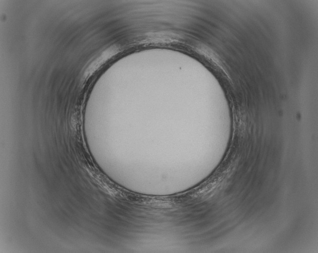 X0000062610874200601181627