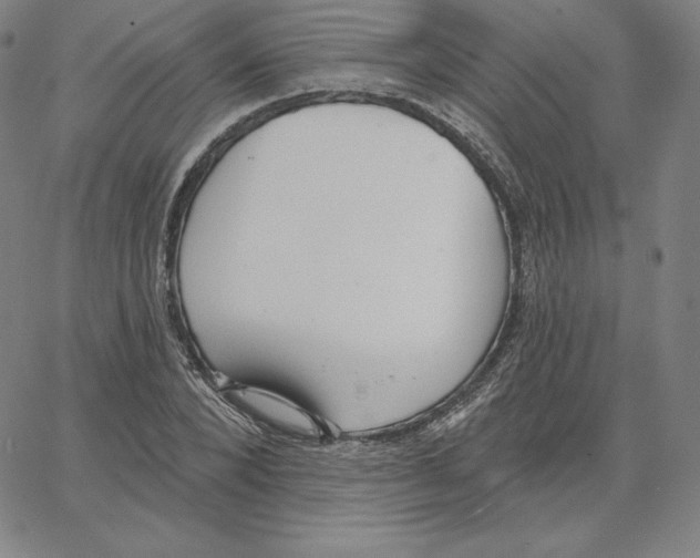 X0000062610880200601181627