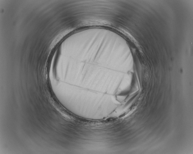 X0000062610885200601181627