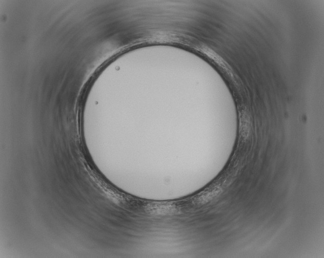 X0000062610886200601181626