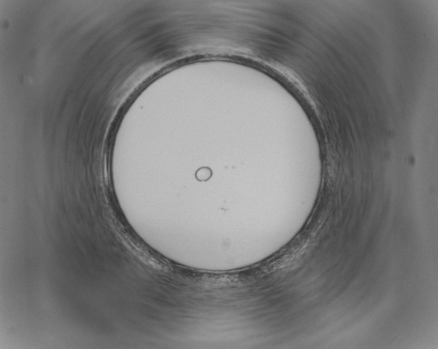 X0000062610887200601181626