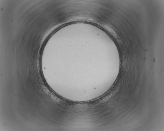 X0000062610888200601181626