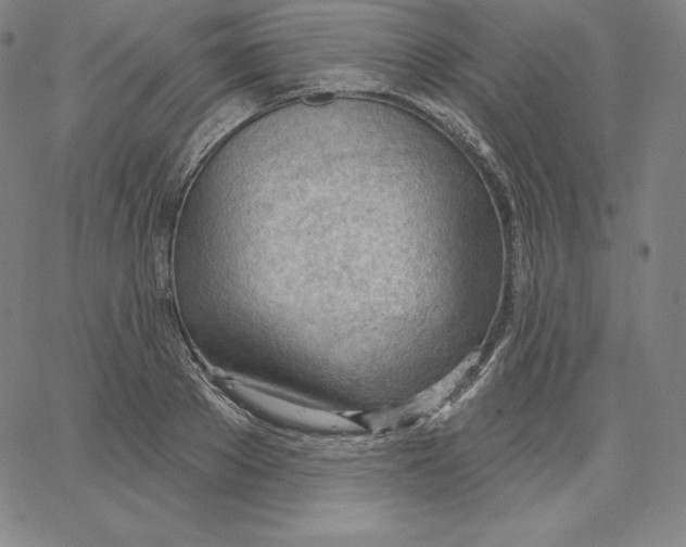 X0000062610889200601181626