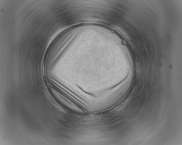 X0000062610891200601181626