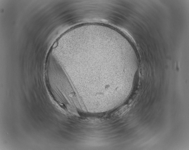 X0000062610895200601181626