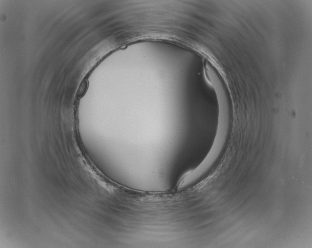 X0000062610898200601181626