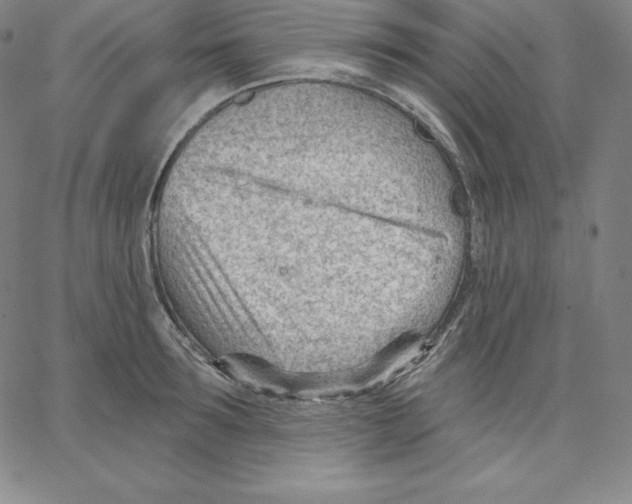 X0000062610899200601181626