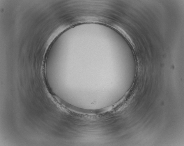 X0000062610901200601181626