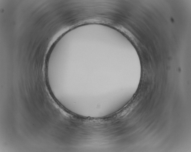 X0000062610902200601181626