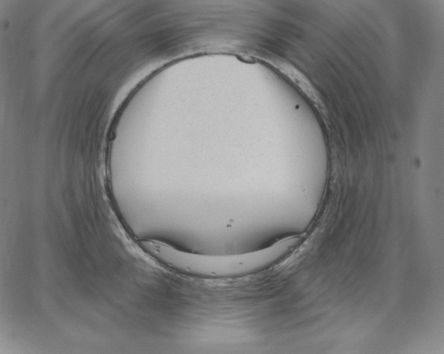 X0000062610904200601181626