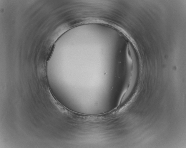 X0000062610905200601181626