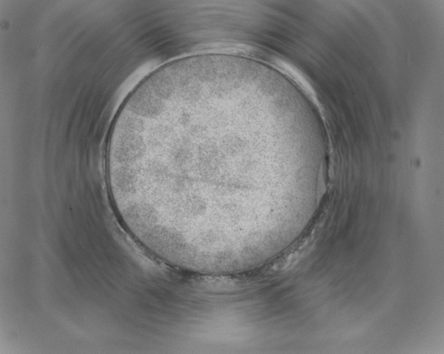 X0000062610907200601181626