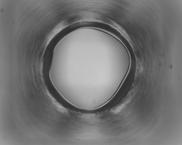 X0000062610909200601181626