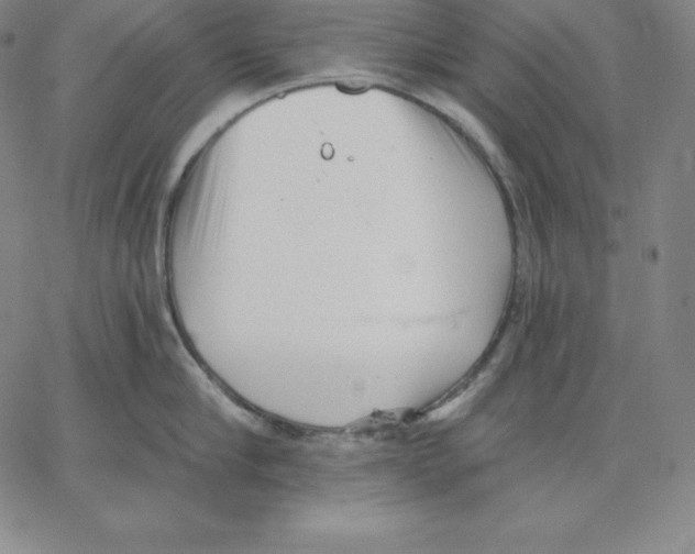 X0000062610910200601181626