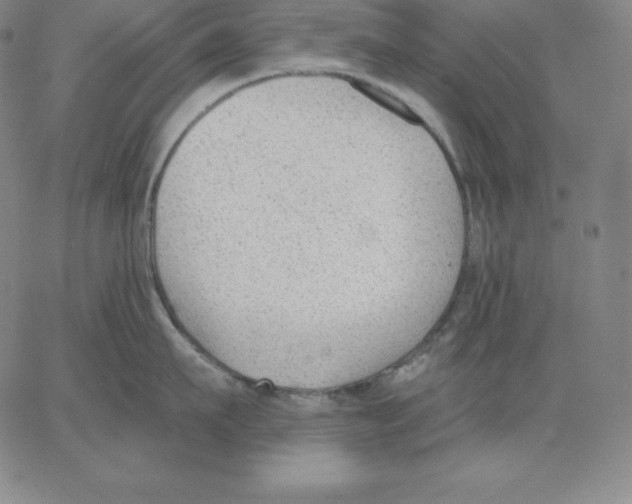 X0000062610911200601181626