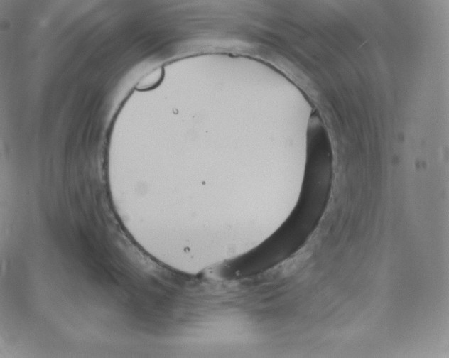 X0000062610912200601181626