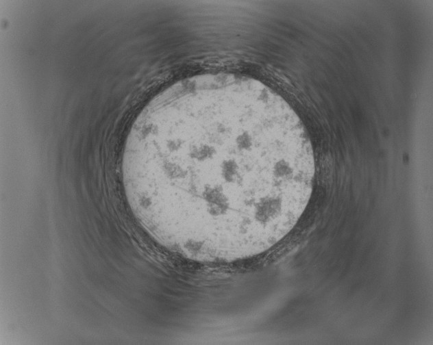 X0000062610913200601181625