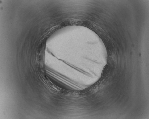 X0000062610914200601181625