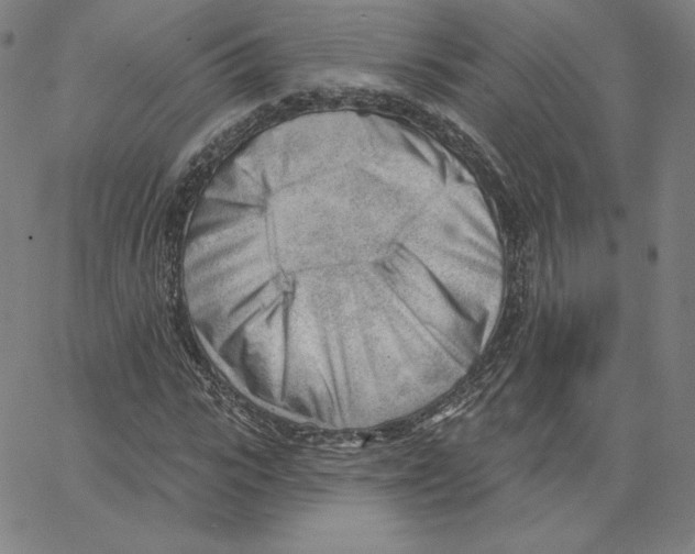 X0000062610919200601181625