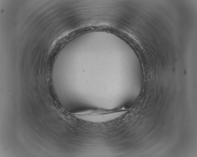 X0000062610920200601181625