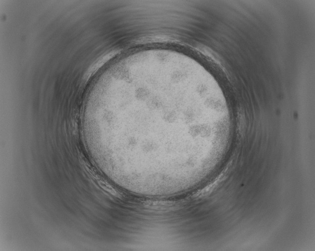 X0000062610921200601181625