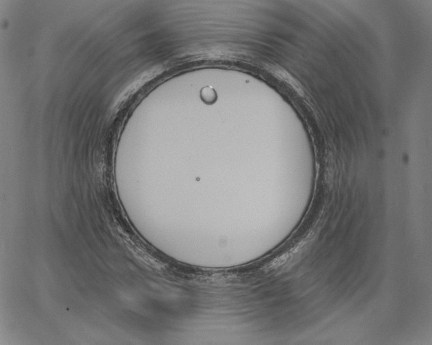 X0000062610922200601181625