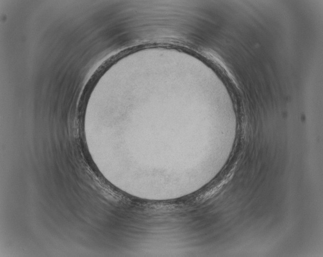 X0000062610924200601181625