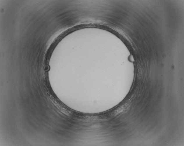 X0000062610927200601181626