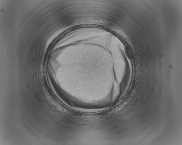 X0000062610928200601181626