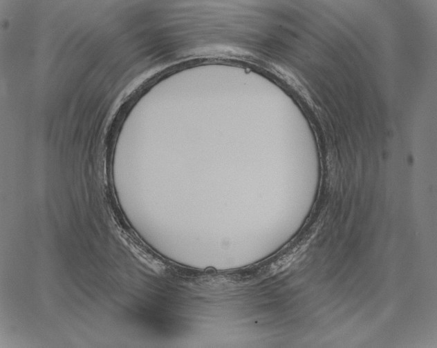 X0000062610931200601181626