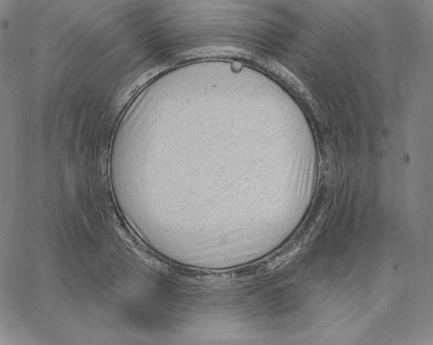 X0000062610937200601181626