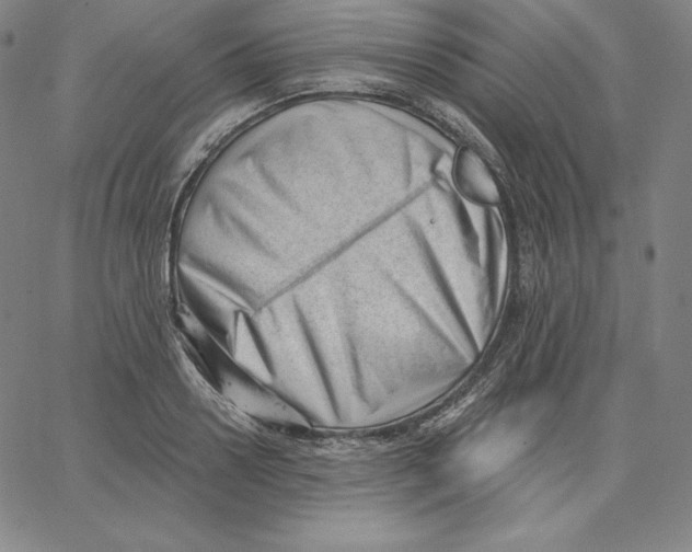 X0000062610938200601181626