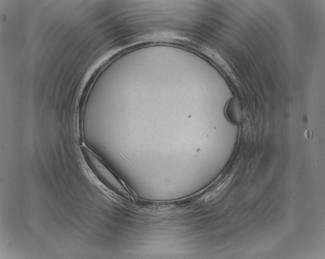 X0000062610939200601181626