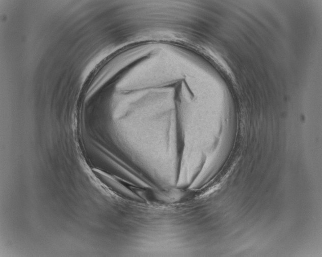 X0000062610944200601181626