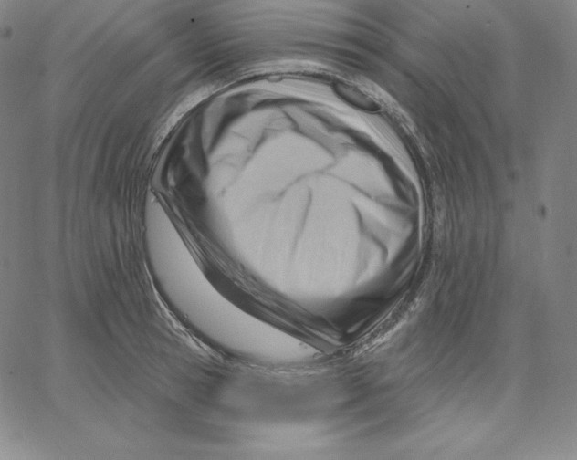 X0000062610945200601181626