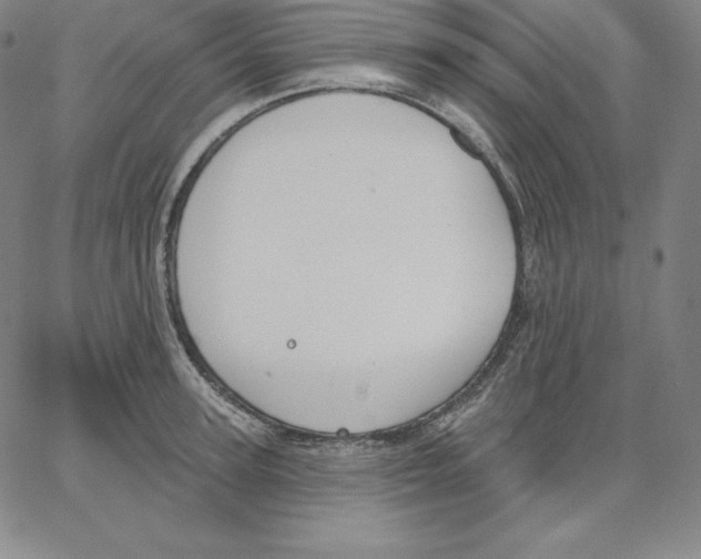 X0000062610947200601181626