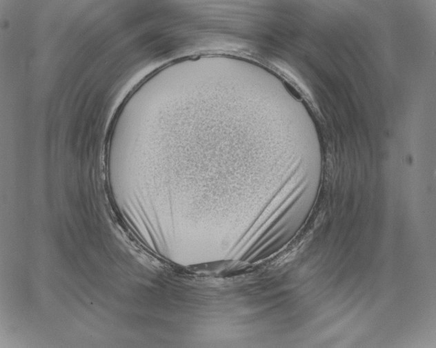 X0000062610948200601181626