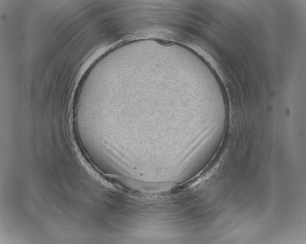 X0000062610949200601181626