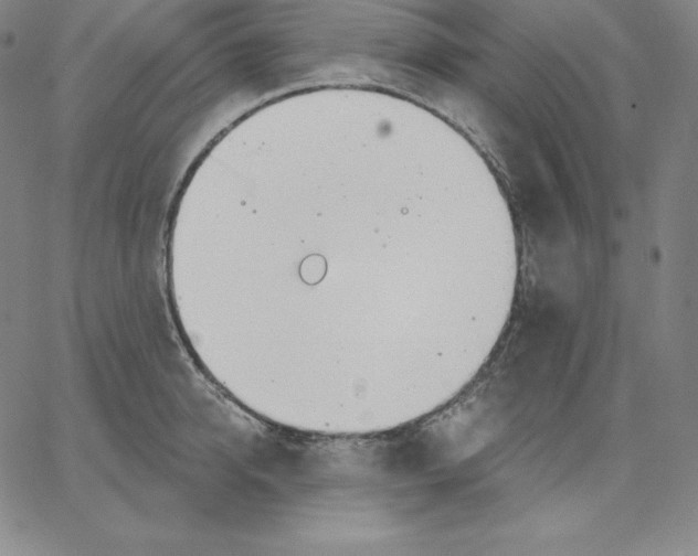 X0000062610950200601181626