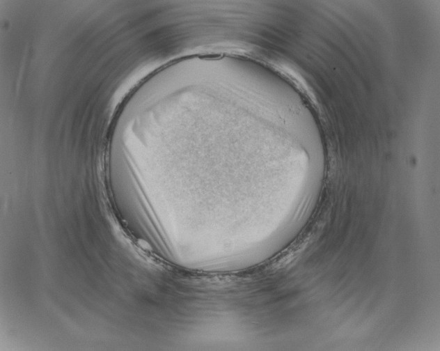 X0000062610952200601181626