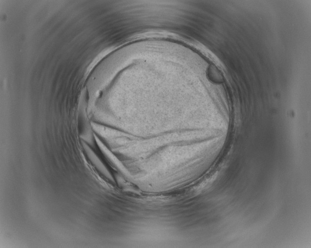 X0000062610953200601181626